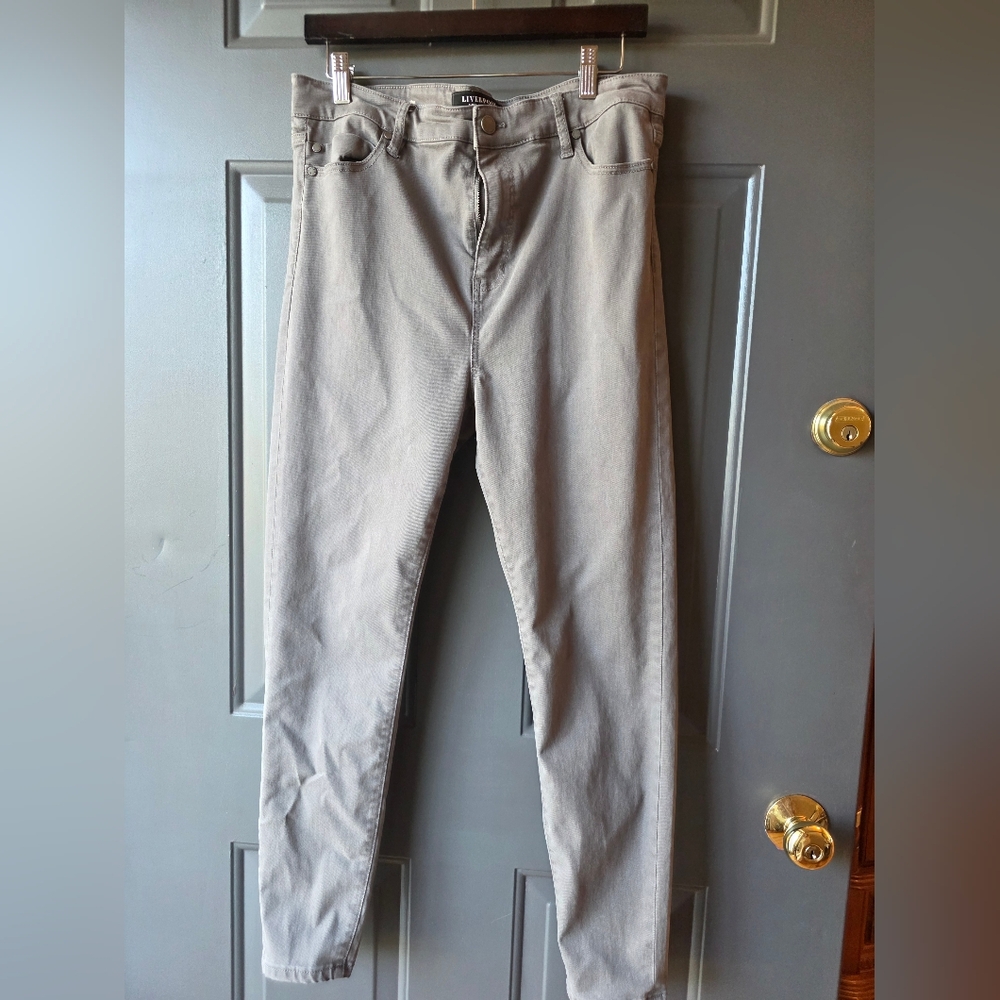 Liverpool Women's Skinny Jeans in Light Gray